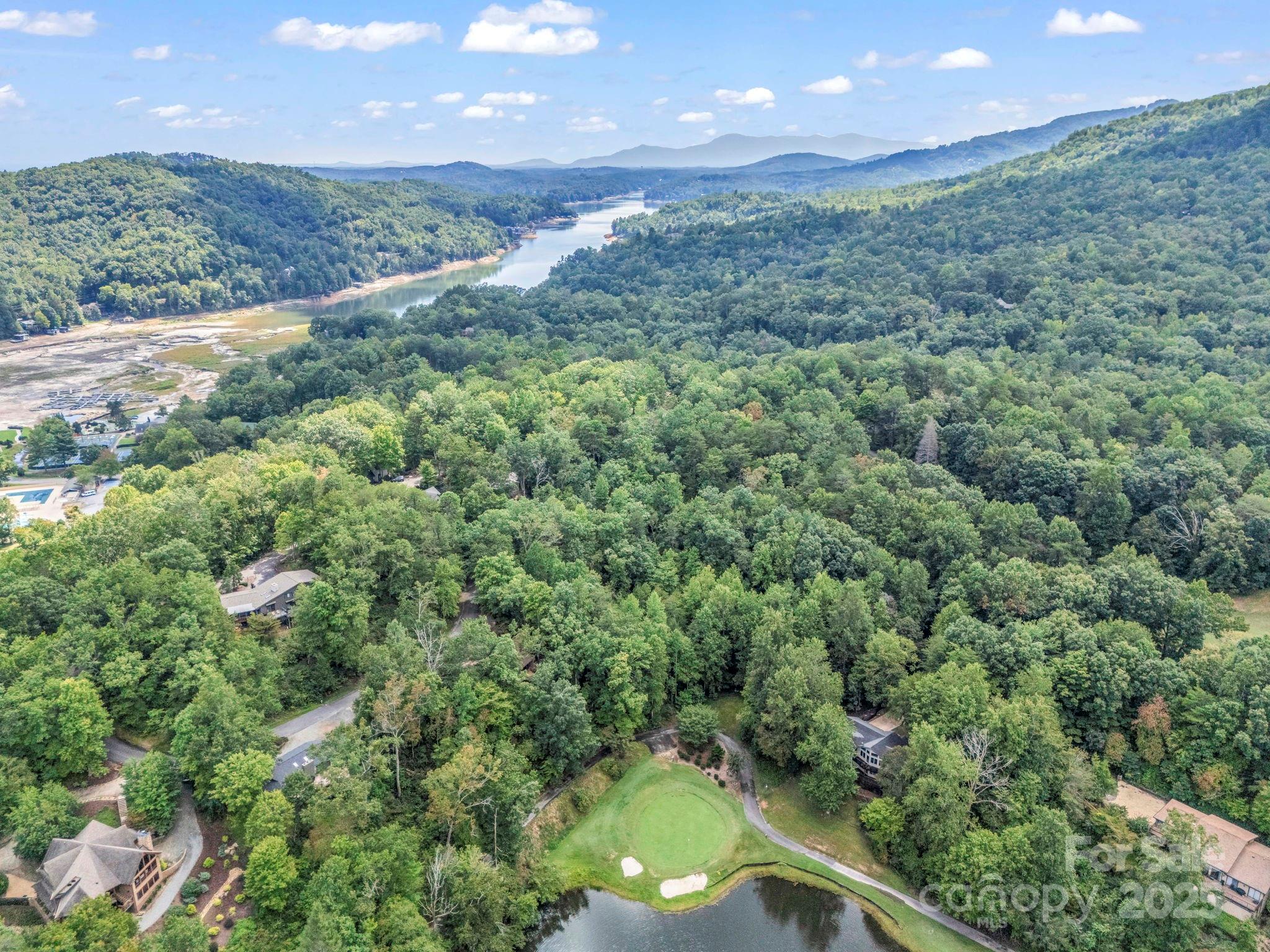 36 Bee Tree Point Court Lake Lure NC 28746