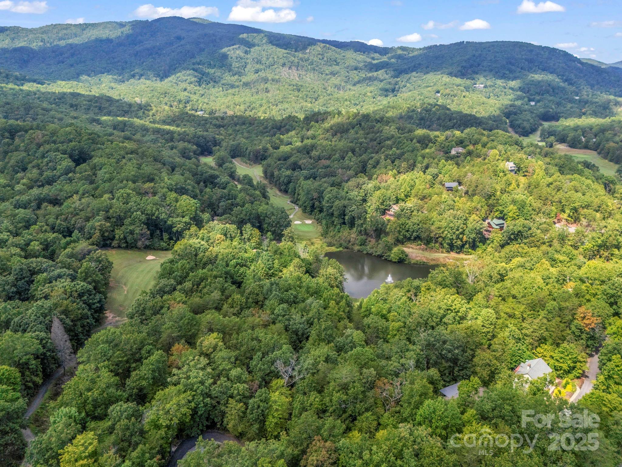 36 Bee Tree Point Court Lake Lure NC 28746