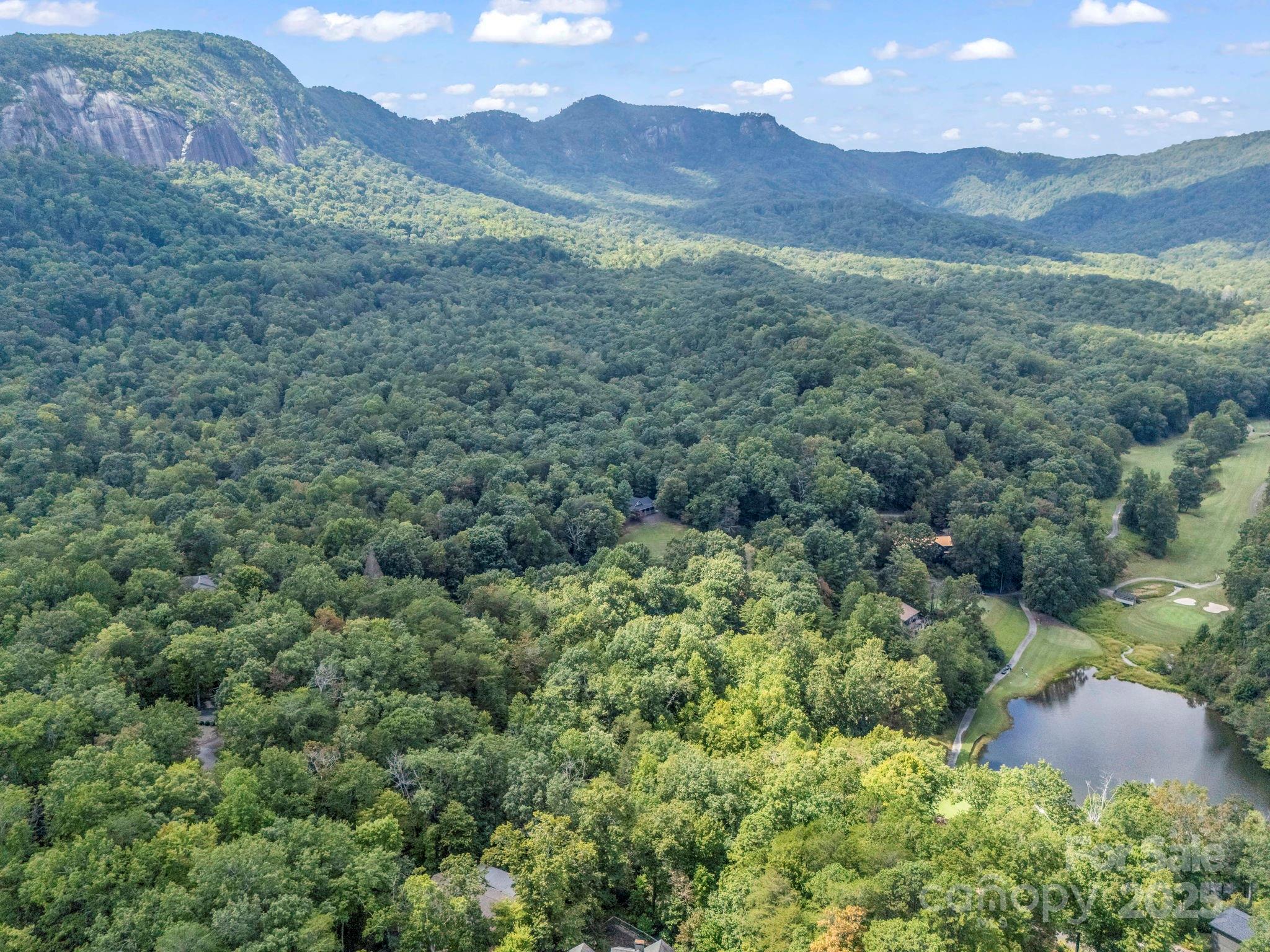 36 Bee Tree Point Court Lake Lure NC 28746
