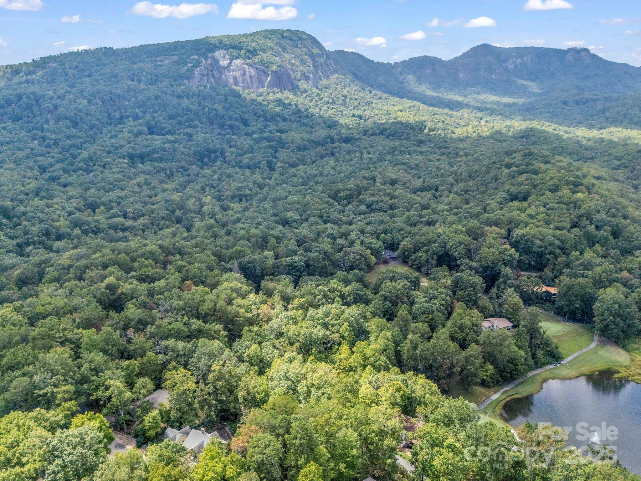 36 Bee Tree Point Court Lake Lure NC 28746