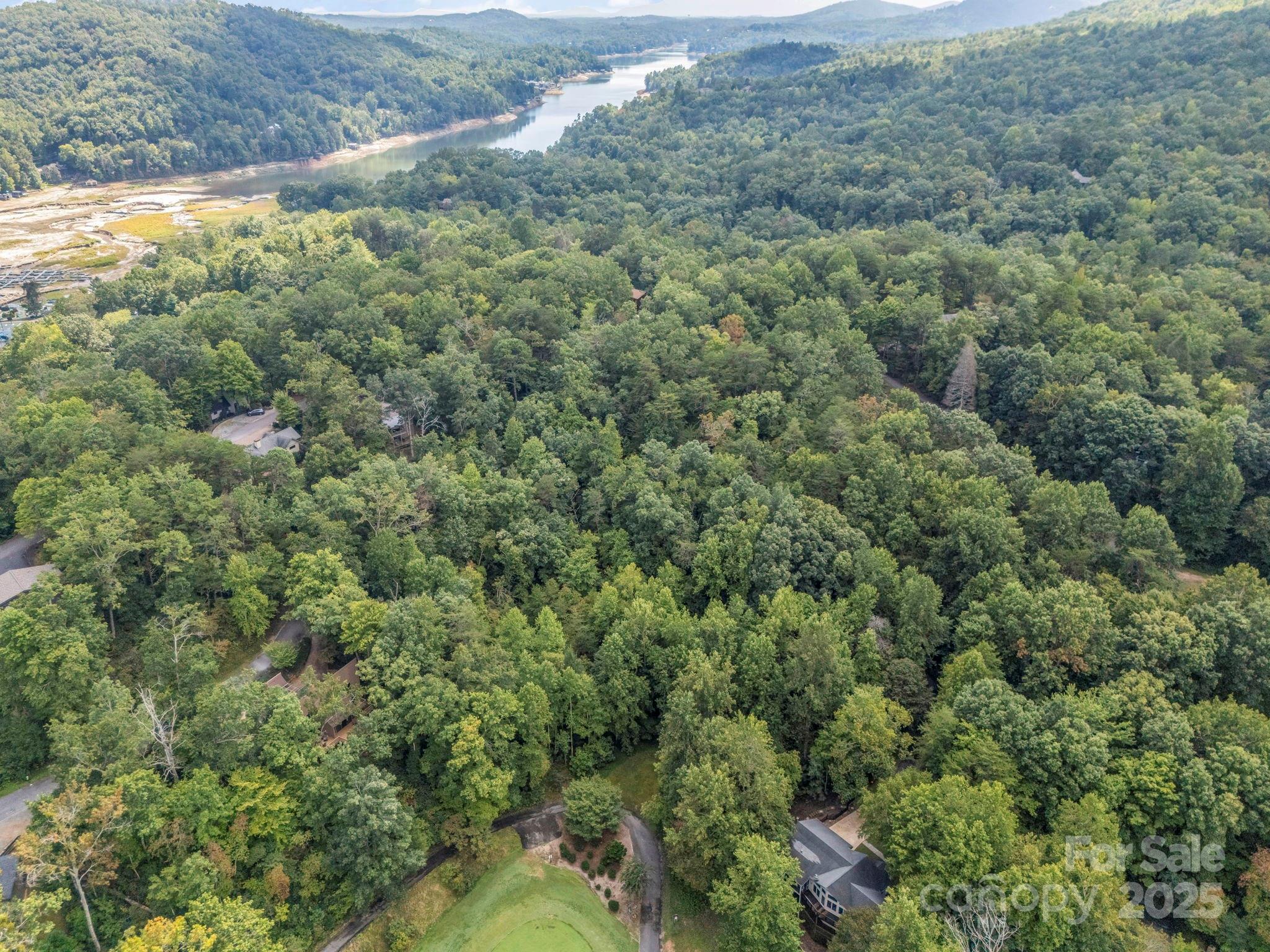 36 Bee Tree Point Court Lake Lure NC 28746