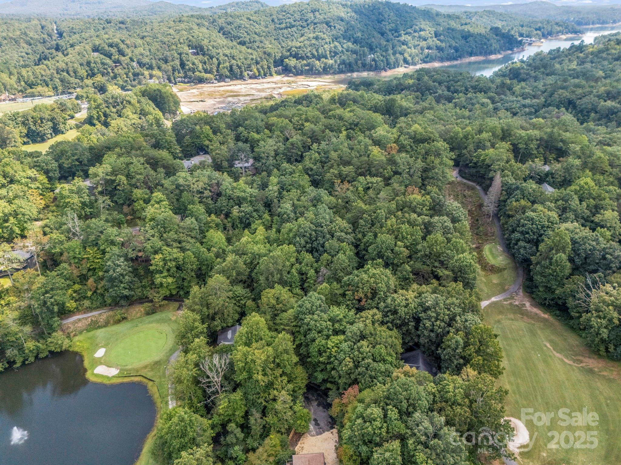 36 Bee Tree Point Court Lake Lure NC 28746