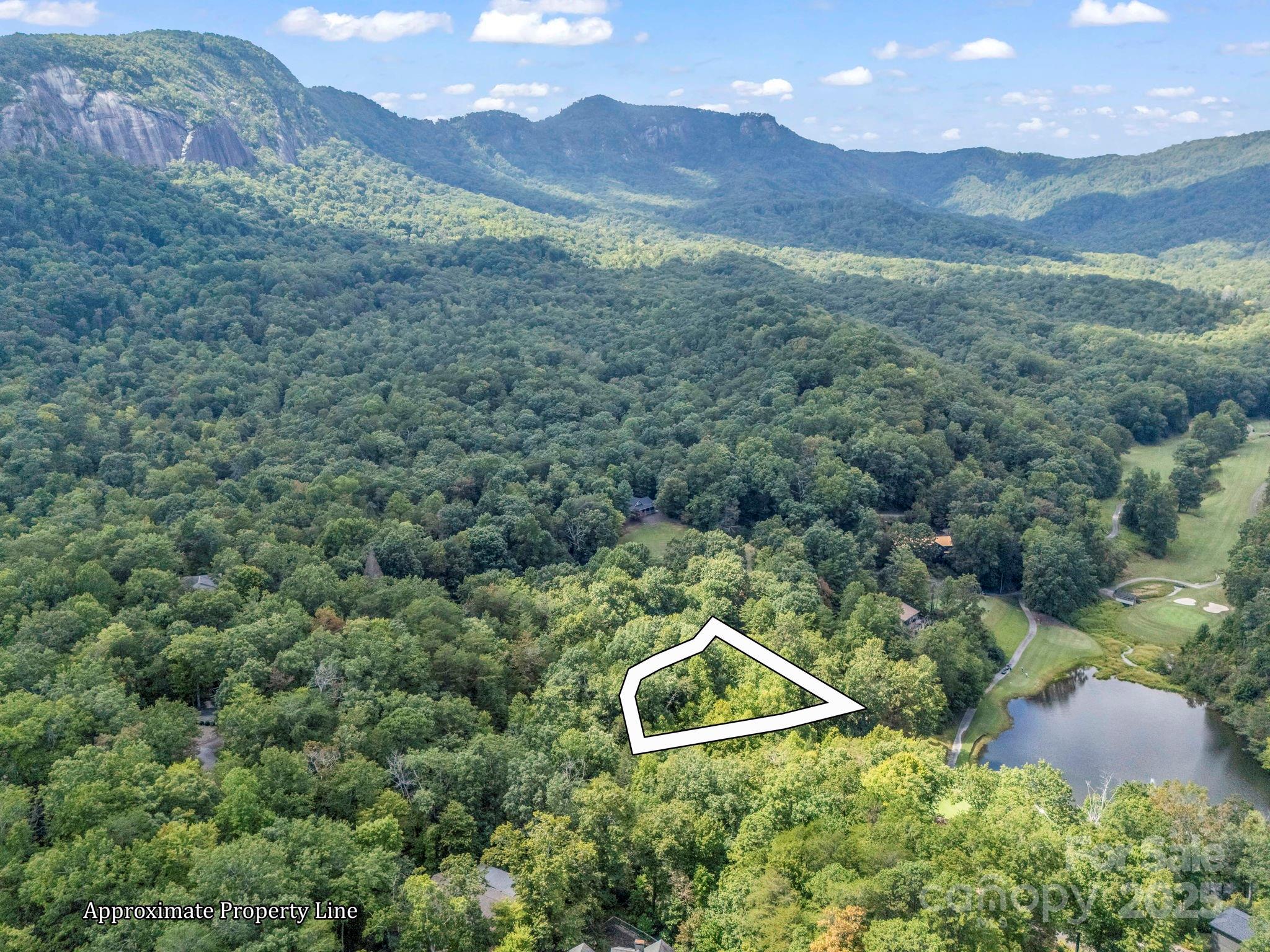 36 Bee Tree Point Court Lake Lure NC 28746