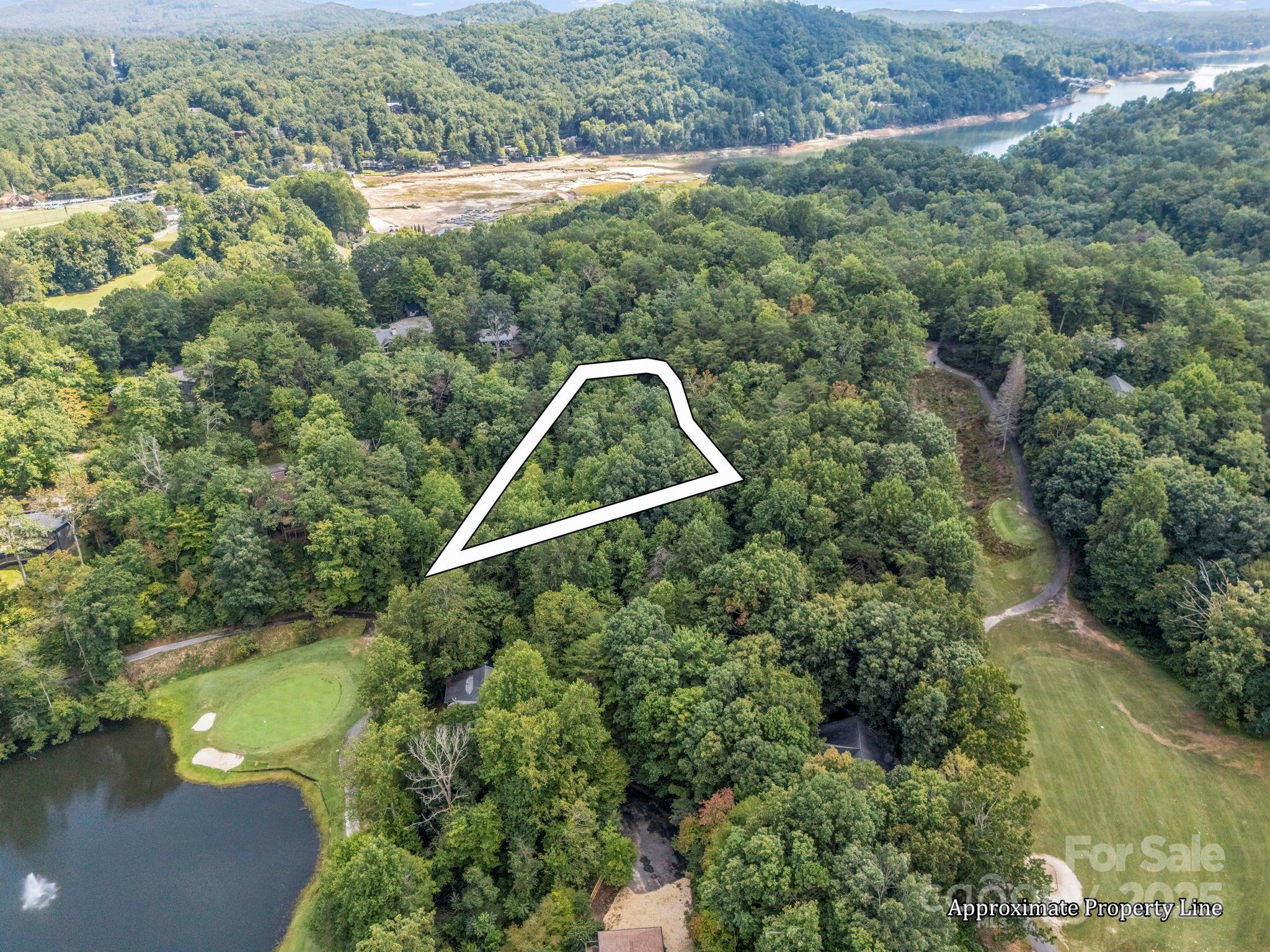36 Bee Tree Point Court Lake Lure NC 28746