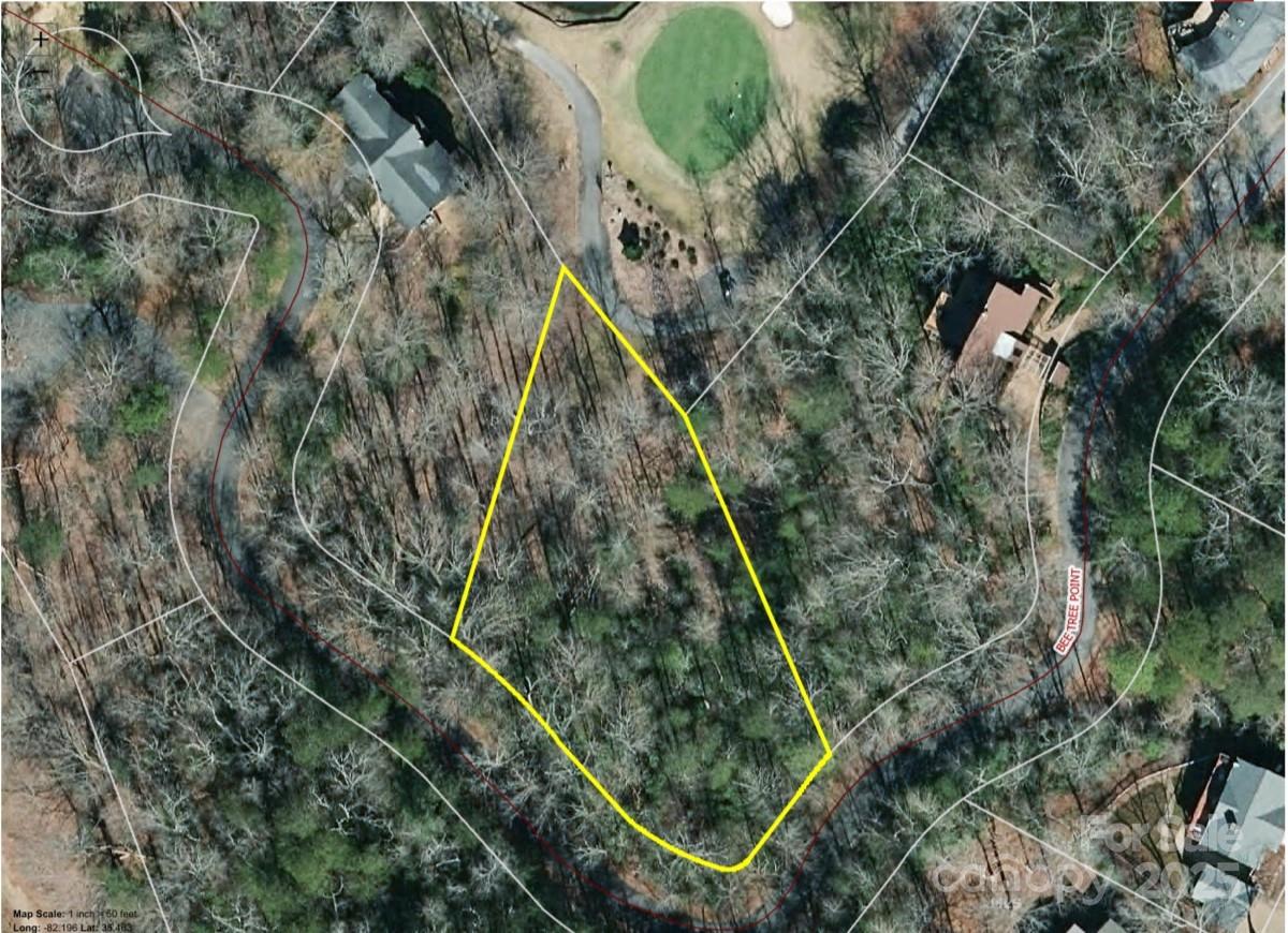 36 Bee Tree Point Court Lake Lure NC 28746