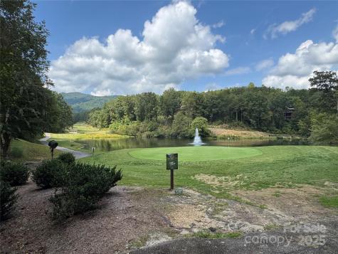 36 Bee Tree Point Court Lake Lure NC 28746