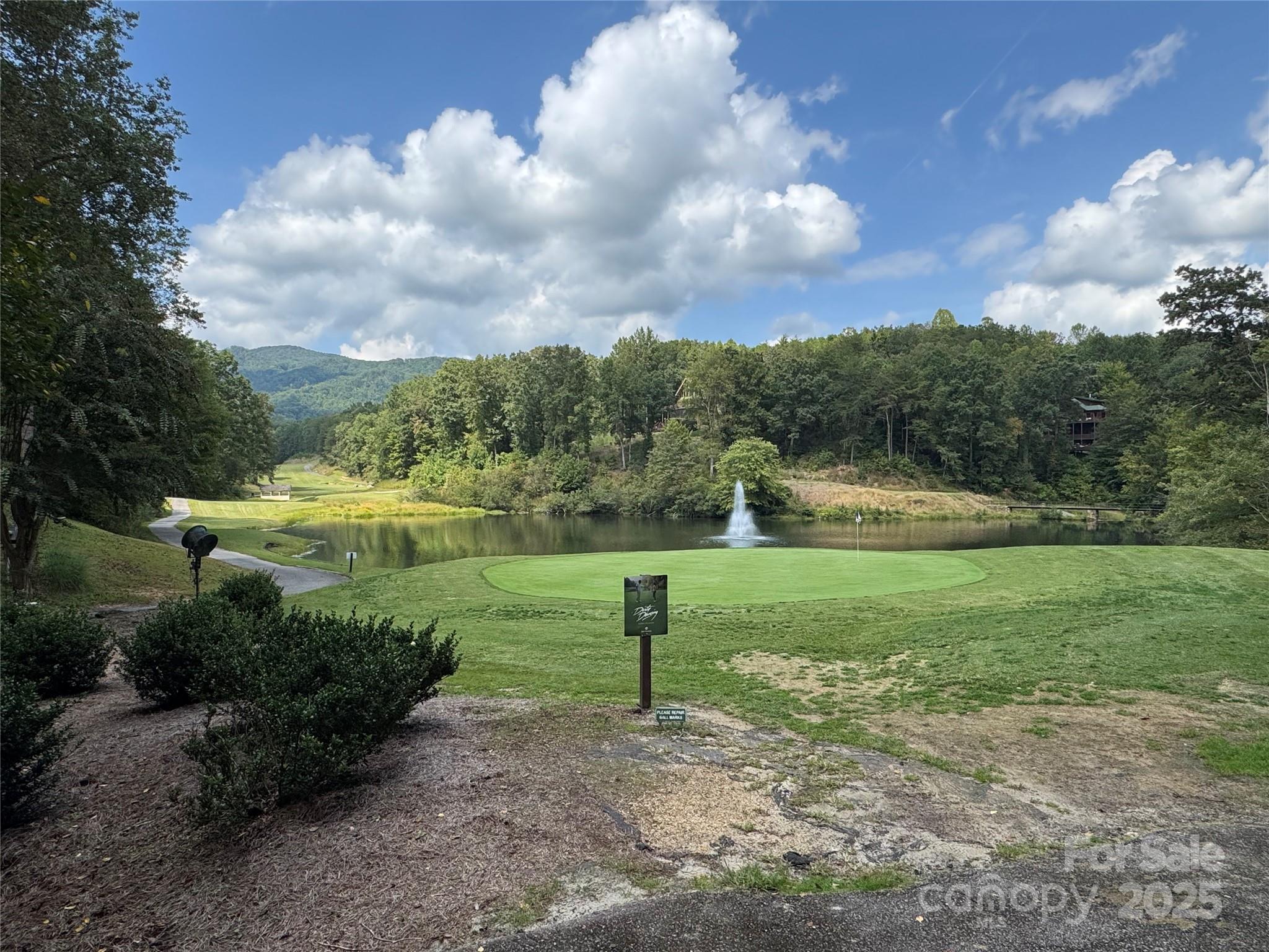 36 Bee Tree Point Court Lake Lure NC 28746