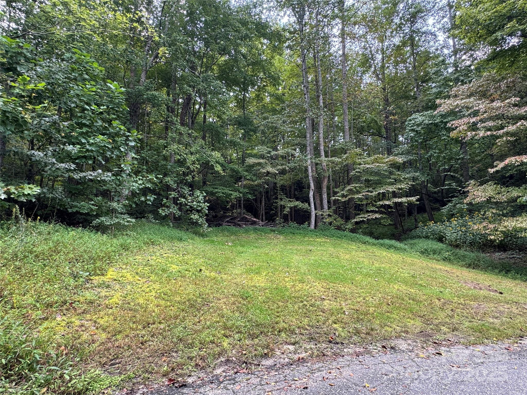 36 Bee Tree Point Court Lake Lure NC 28746