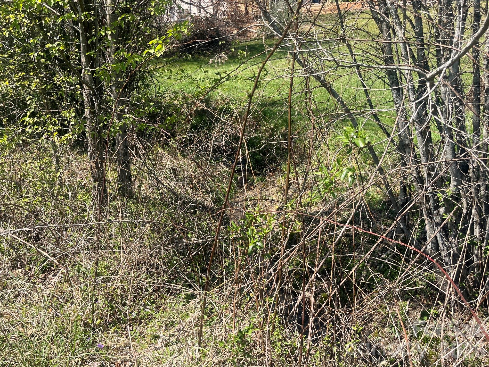 00 Chestnut Gap Road Hendersonville NC 28792