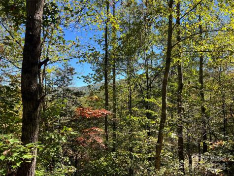 00 Tract B&c Us Highway 441 S Sylva NC 28779