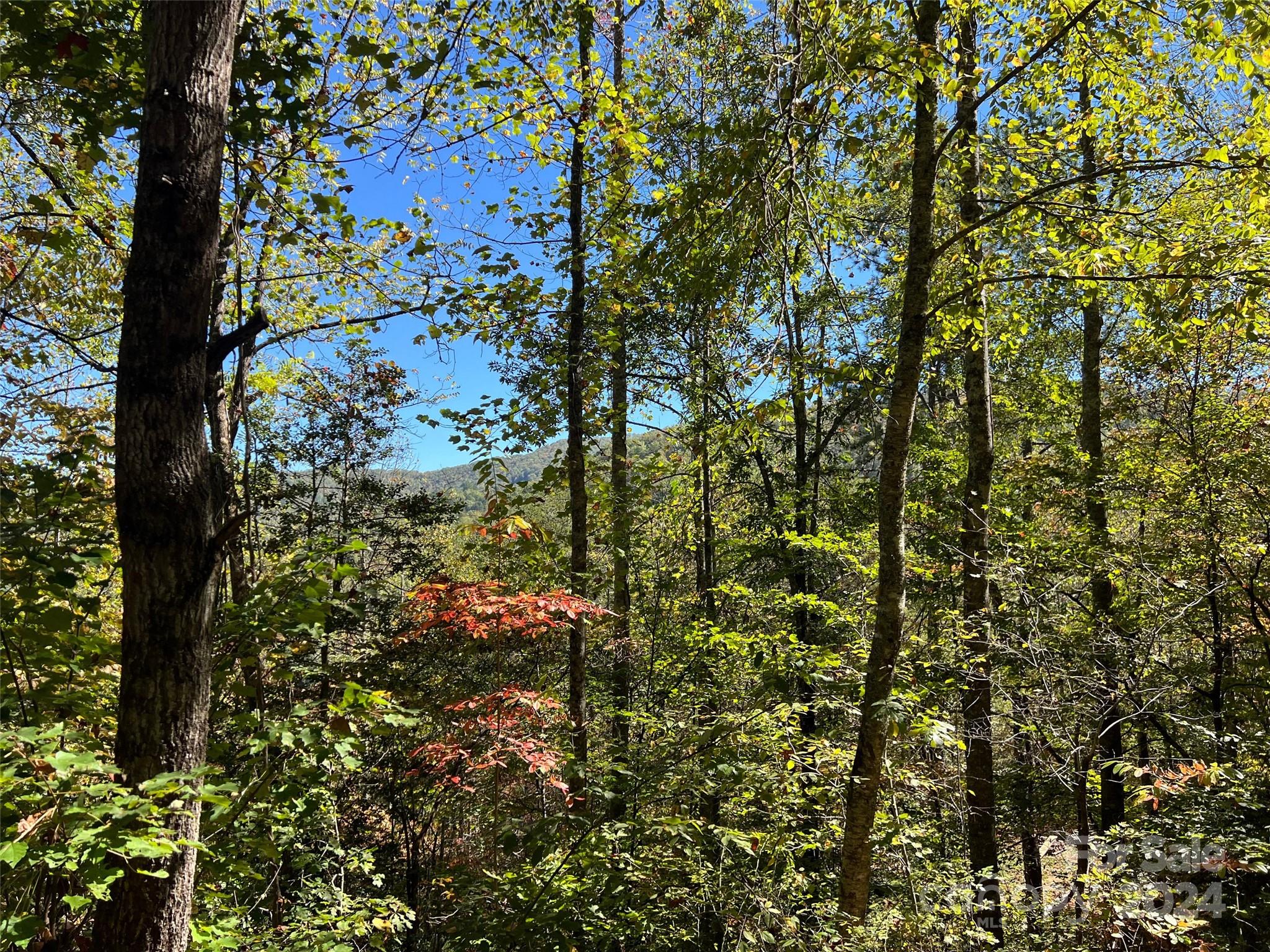 00 Tract B&c Us Highway 441 S Sylva NC 28779
