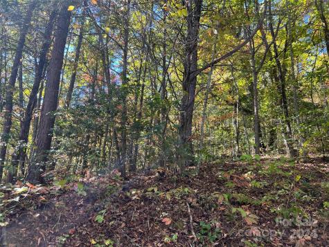 00 Tract B&c Us Highway 441 S Sylva NC 28779