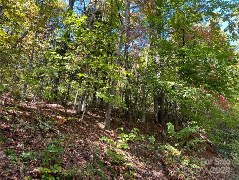 00 Tract B&c Us Highway 441 S Sylva NC 28779