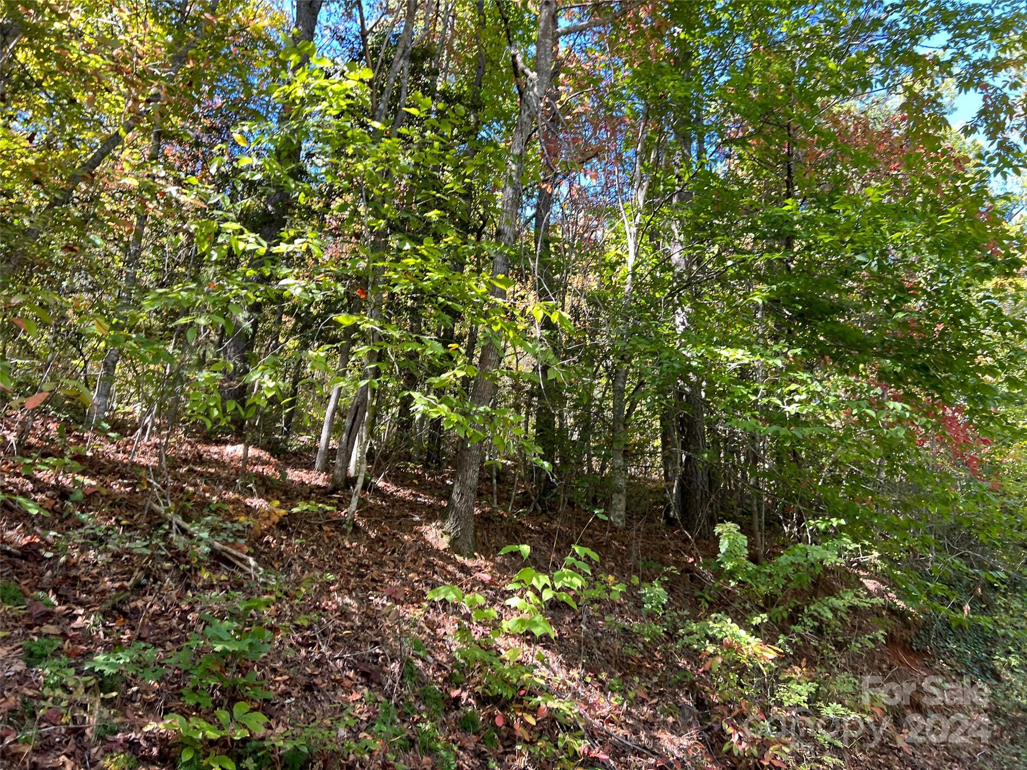 00 Tract B&c Us Highway 441 S Sylva NC 28779