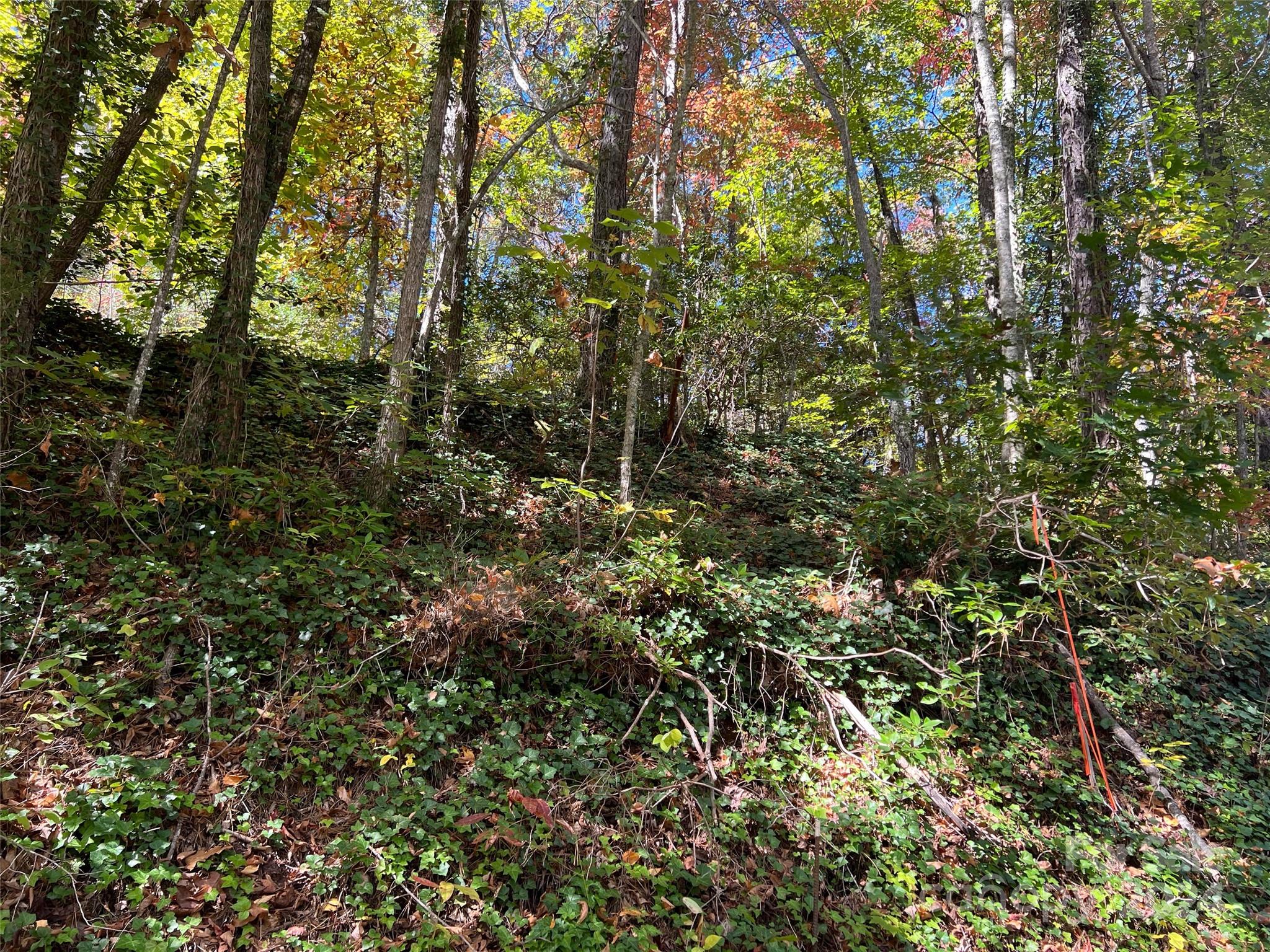 00 Tract B&c Us Highway 441 S Sylva NC 28779