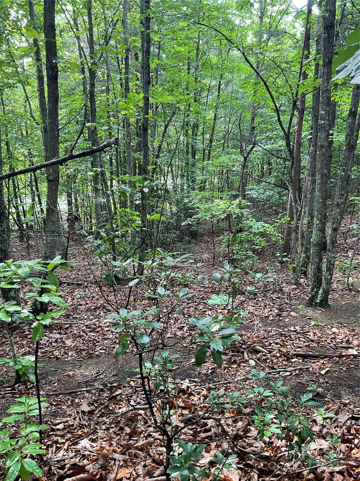 0 Valley View Court Hickory NC 28602