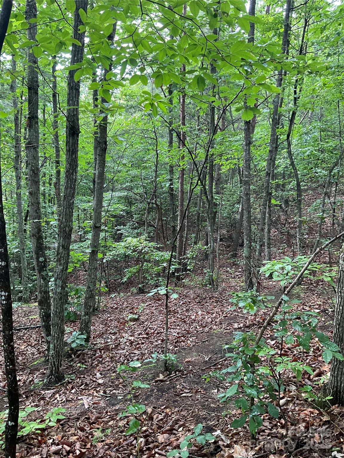0 Valley View Court Hickory NC 28602