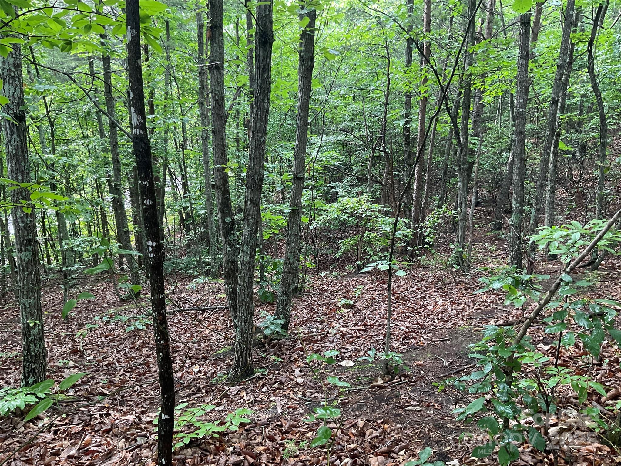0 Valley View Court Hickory NC 28602