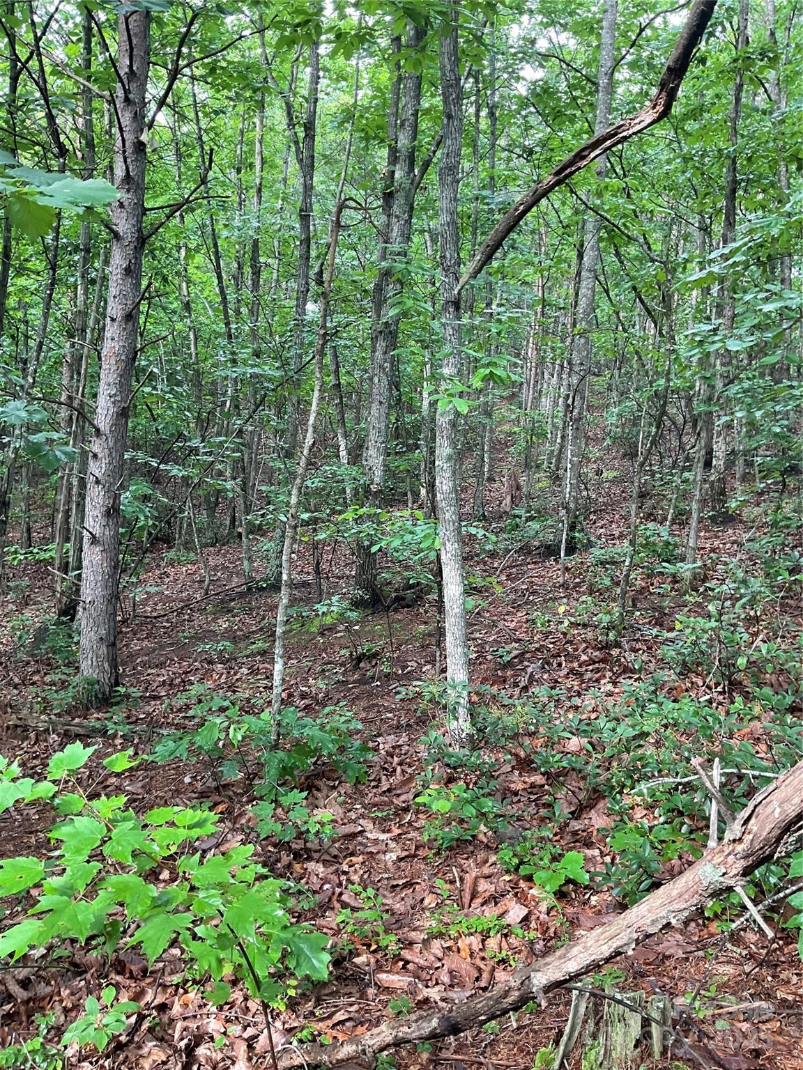 0 Valley View Court Hickory NC 28602