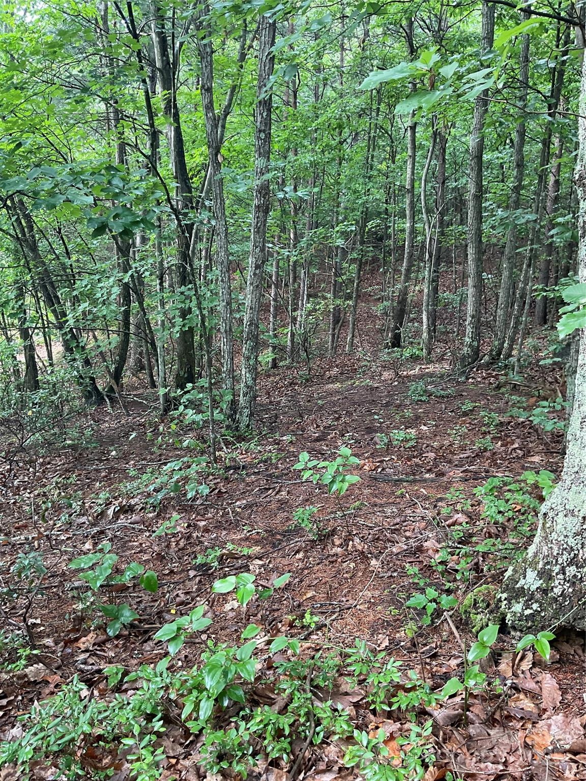 0 Valley View Court Hickory NC 28602