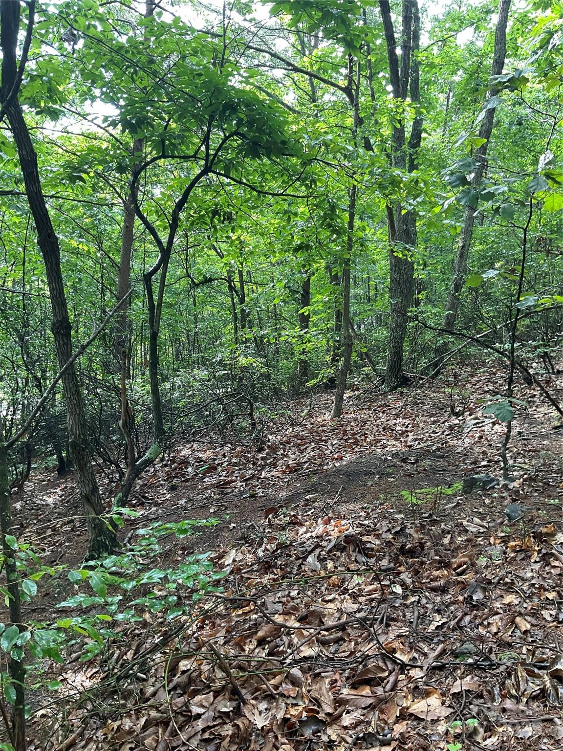 0 Valley View Court Hickory NC 28602