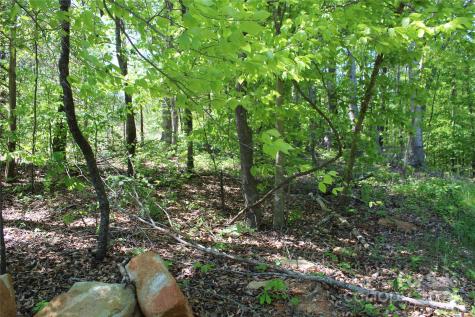 0000 Davis Circle Clover SC 29710