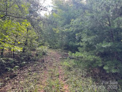 00 Rich Mountain Road Morganton NC 28655