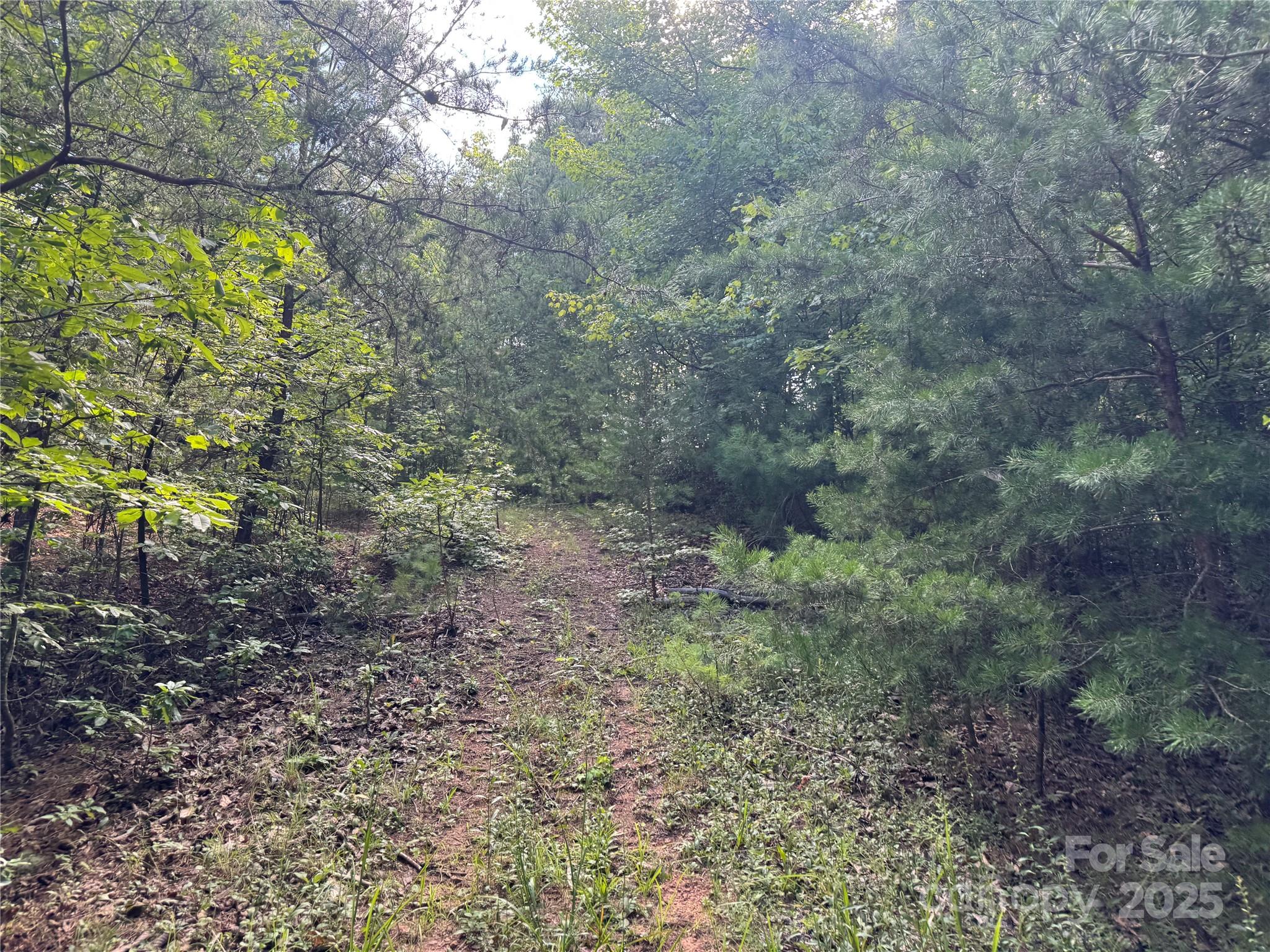 00 Rich Mountain Road Morganton NC 28655