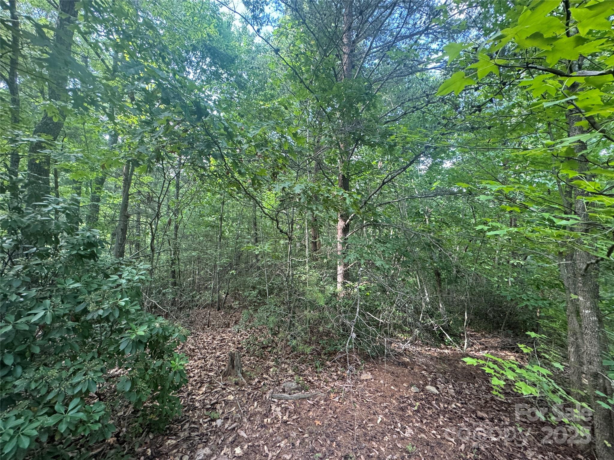 00 Rich Mountain Road Morganton NC 28655