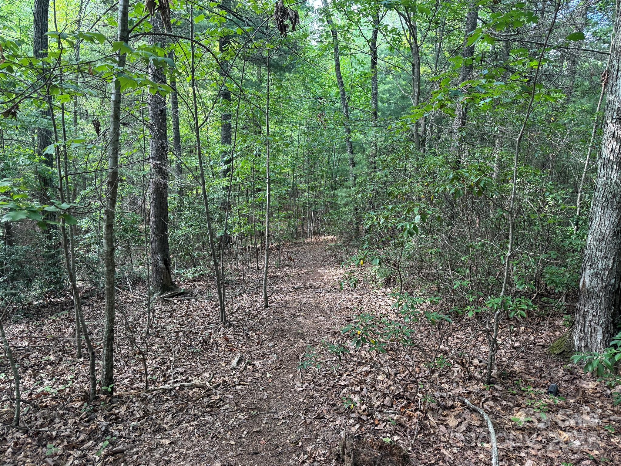 00 Rich Mountain Road Morganton NC 28655