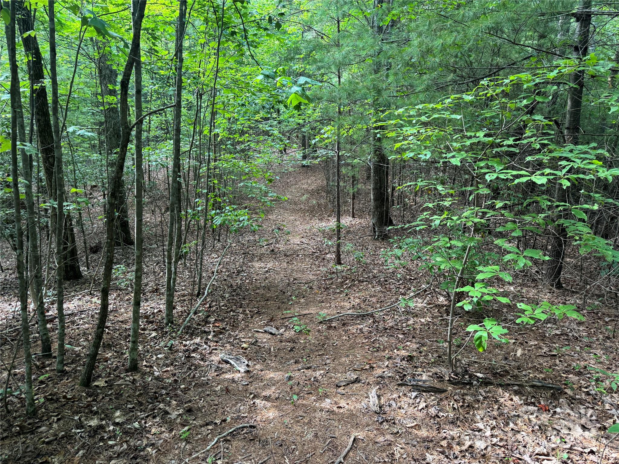 00 Rich Mountain Road Morganton NC 28655