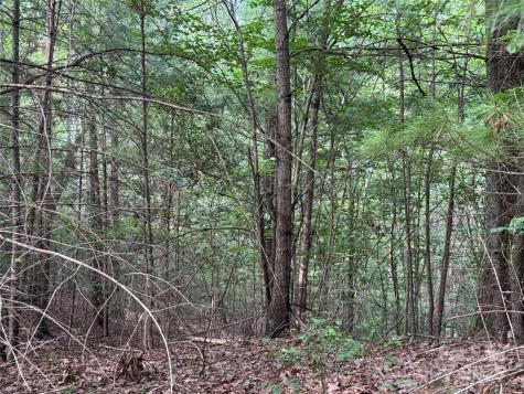 00 Rich Mountain Road Morganton NC 28655