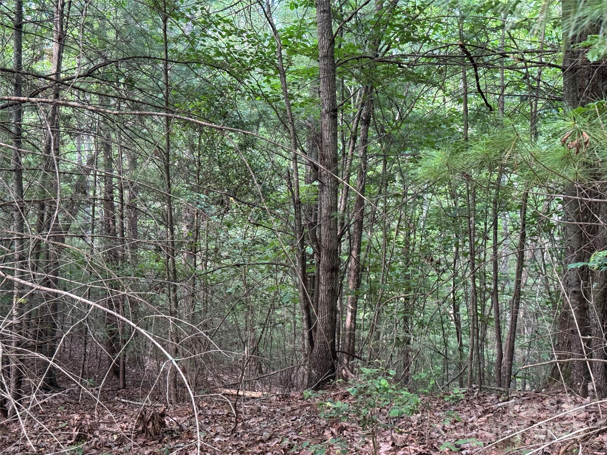 00 Rich Mountain Road Morganton NC 28655