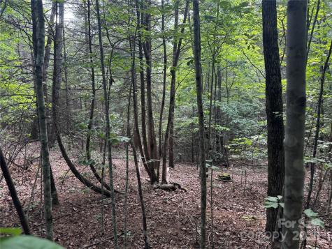 00 Rich Mountain Road Morganton NC 28655