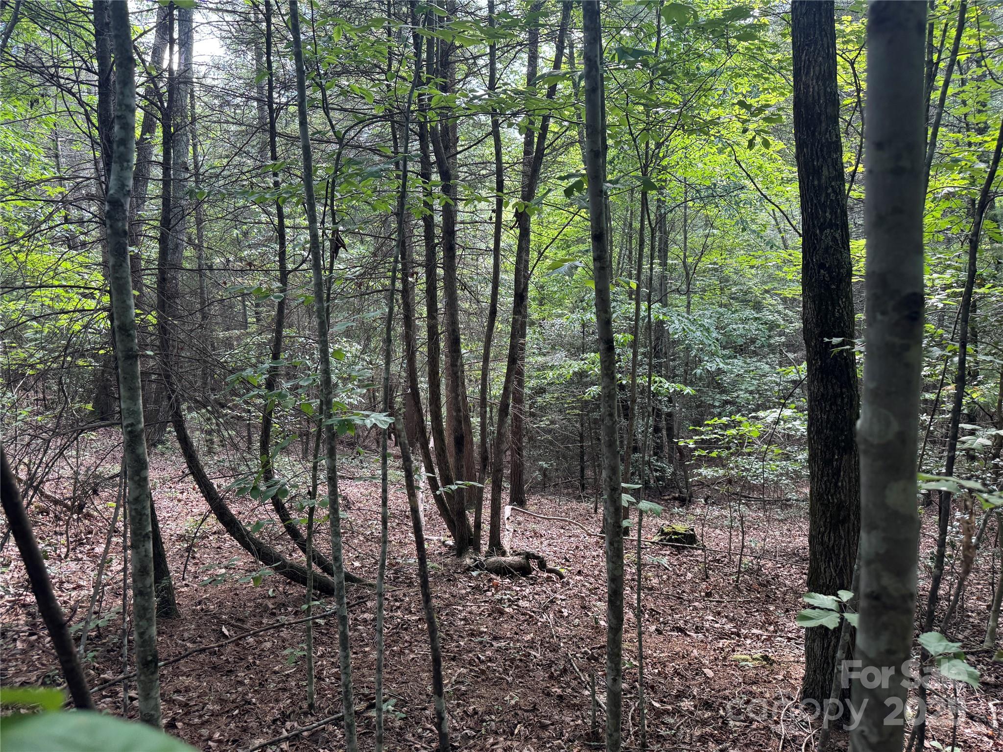 00 Rich Mountain Road Morganton NC 28655