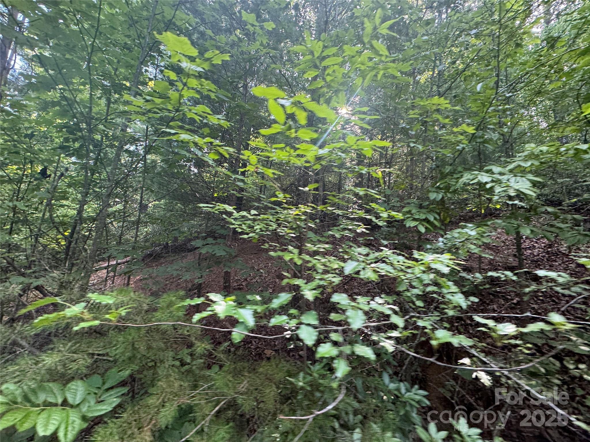 00 Rich Mountain Road Morganton NC 28655
