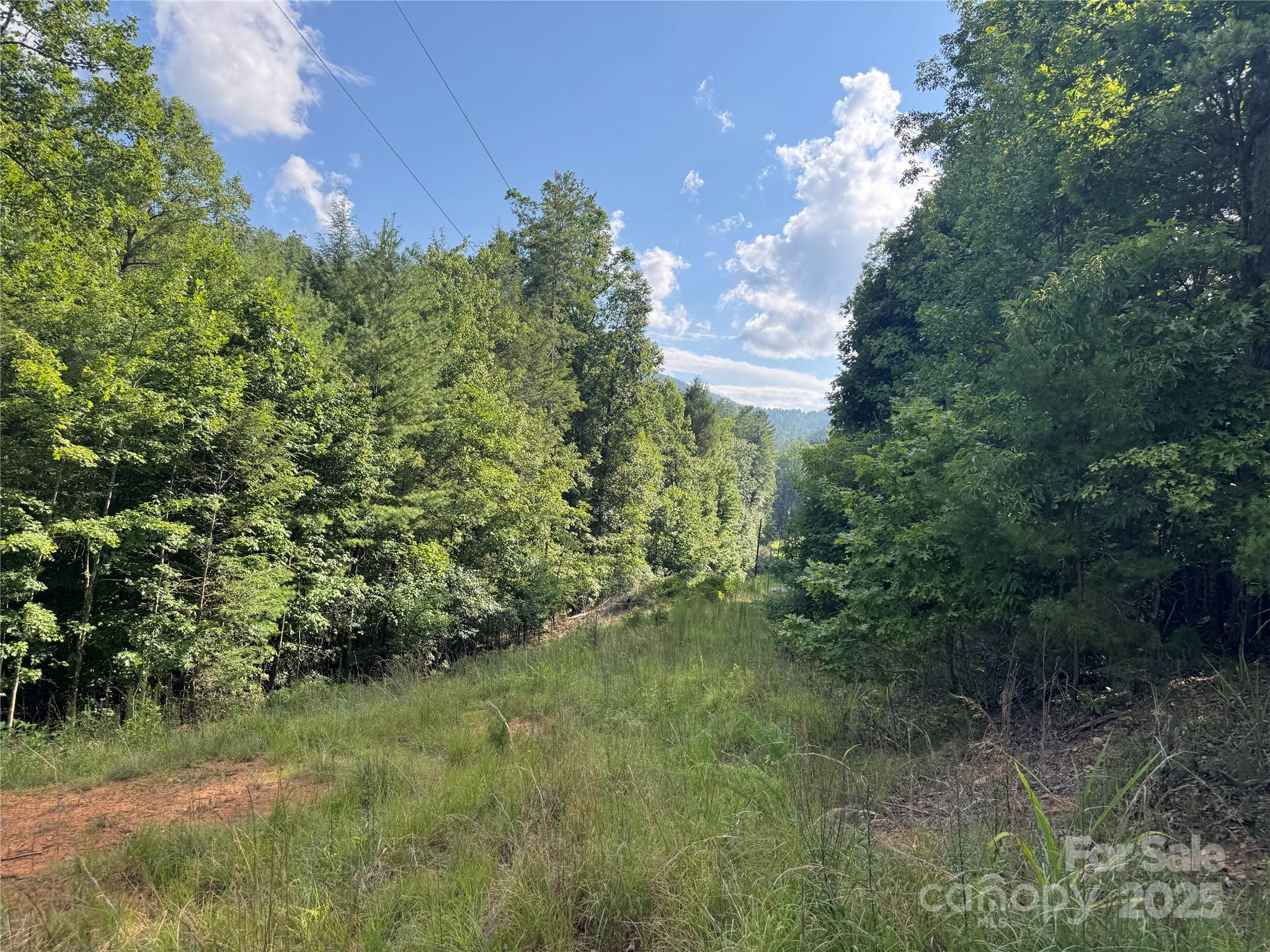 00 Rich Mountain Road Morganton NC 28655