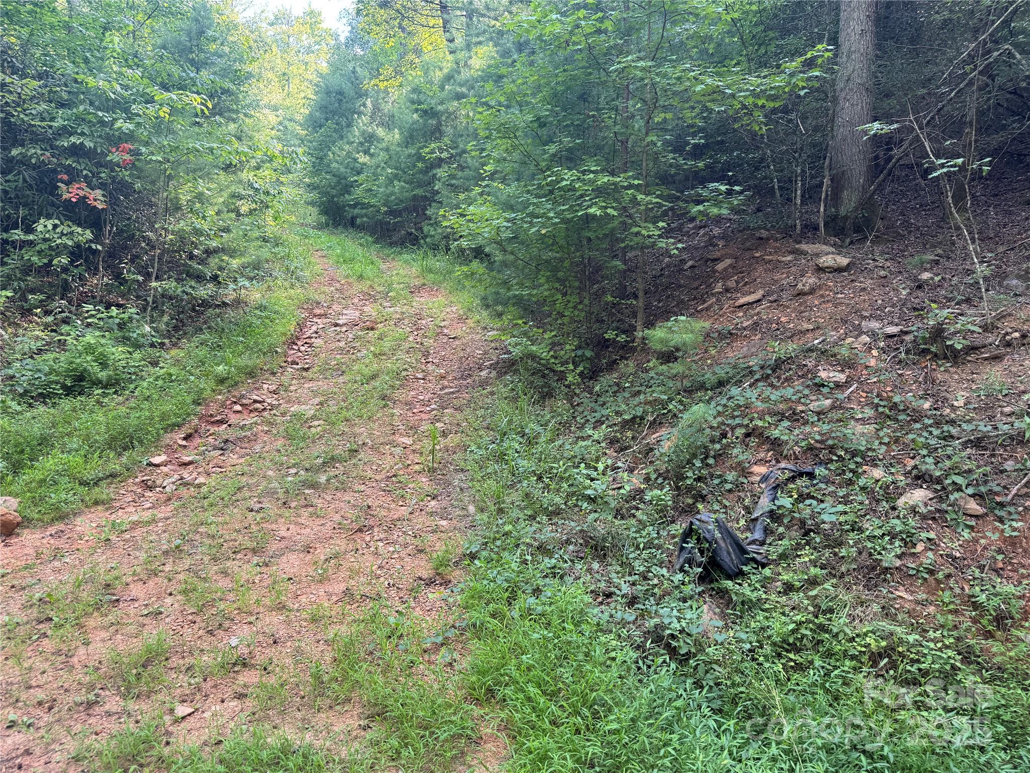 00 Rich Mountain Road Morganton NC 28655