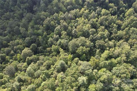 00 Rich Mountain Road Morganton NC 28655
