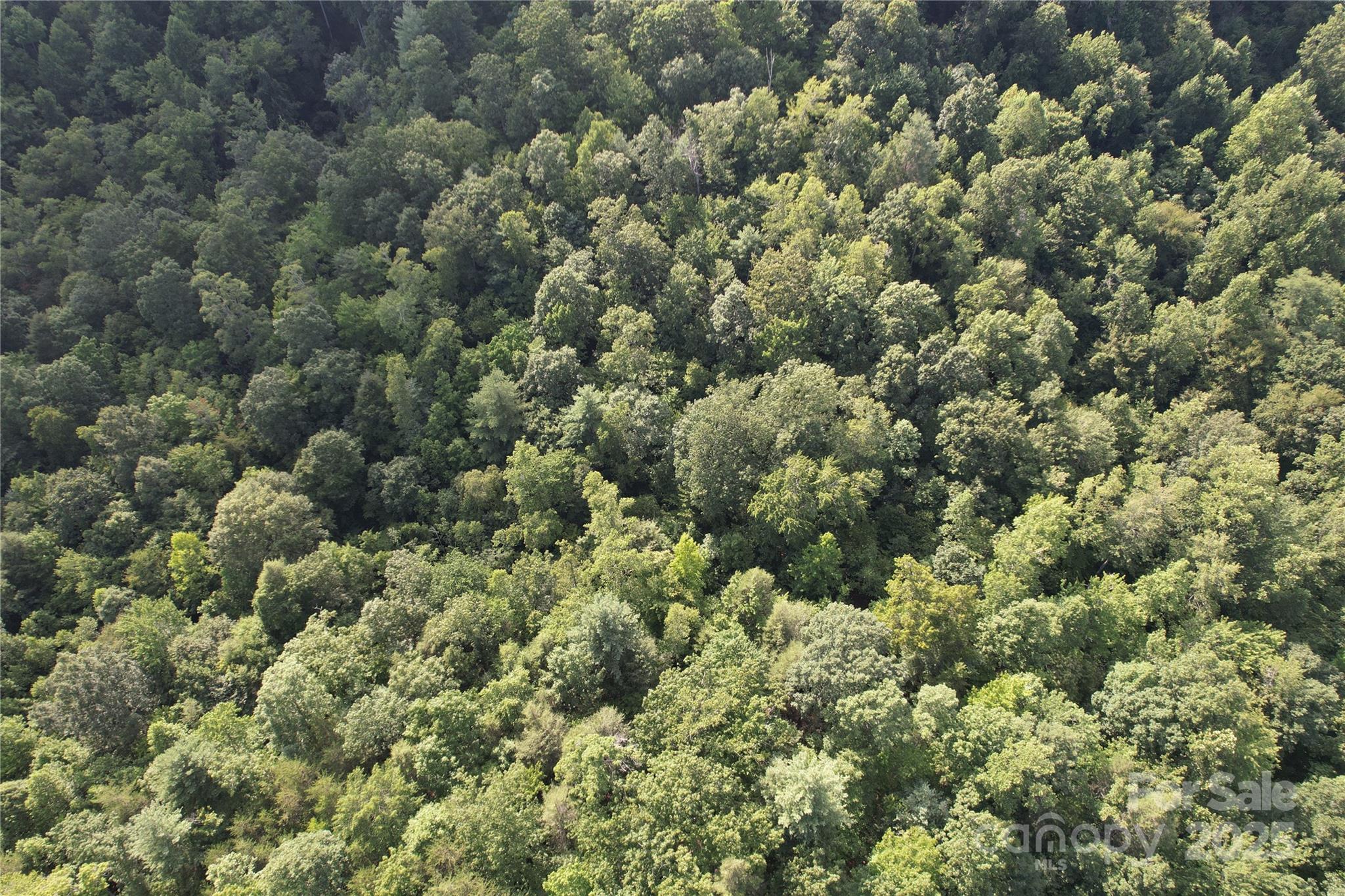 00 Rich Mountain Road Morganton NC 28655