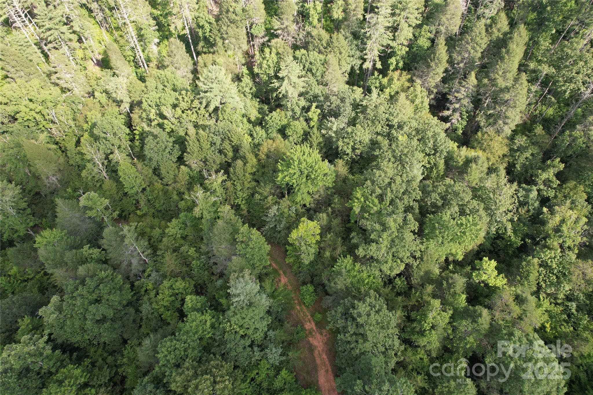 00 Rich Mountain Road Morganton NC 28655