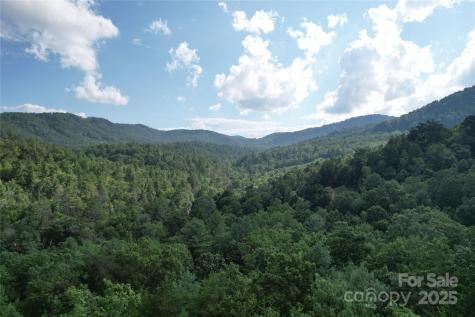 00 Rich Mountain Road Morganton NC 28655