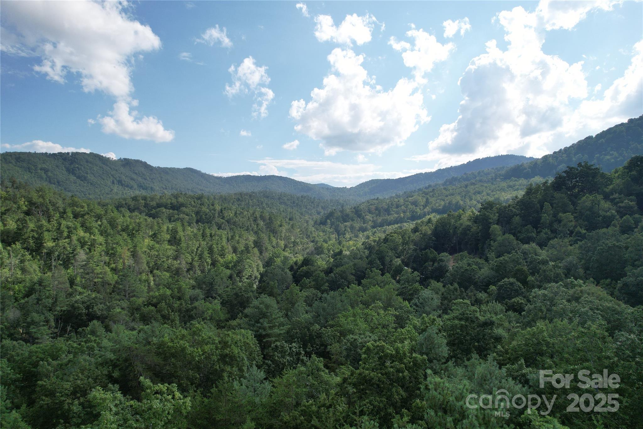 00 Rich Mountain Road Morganton NC 28655