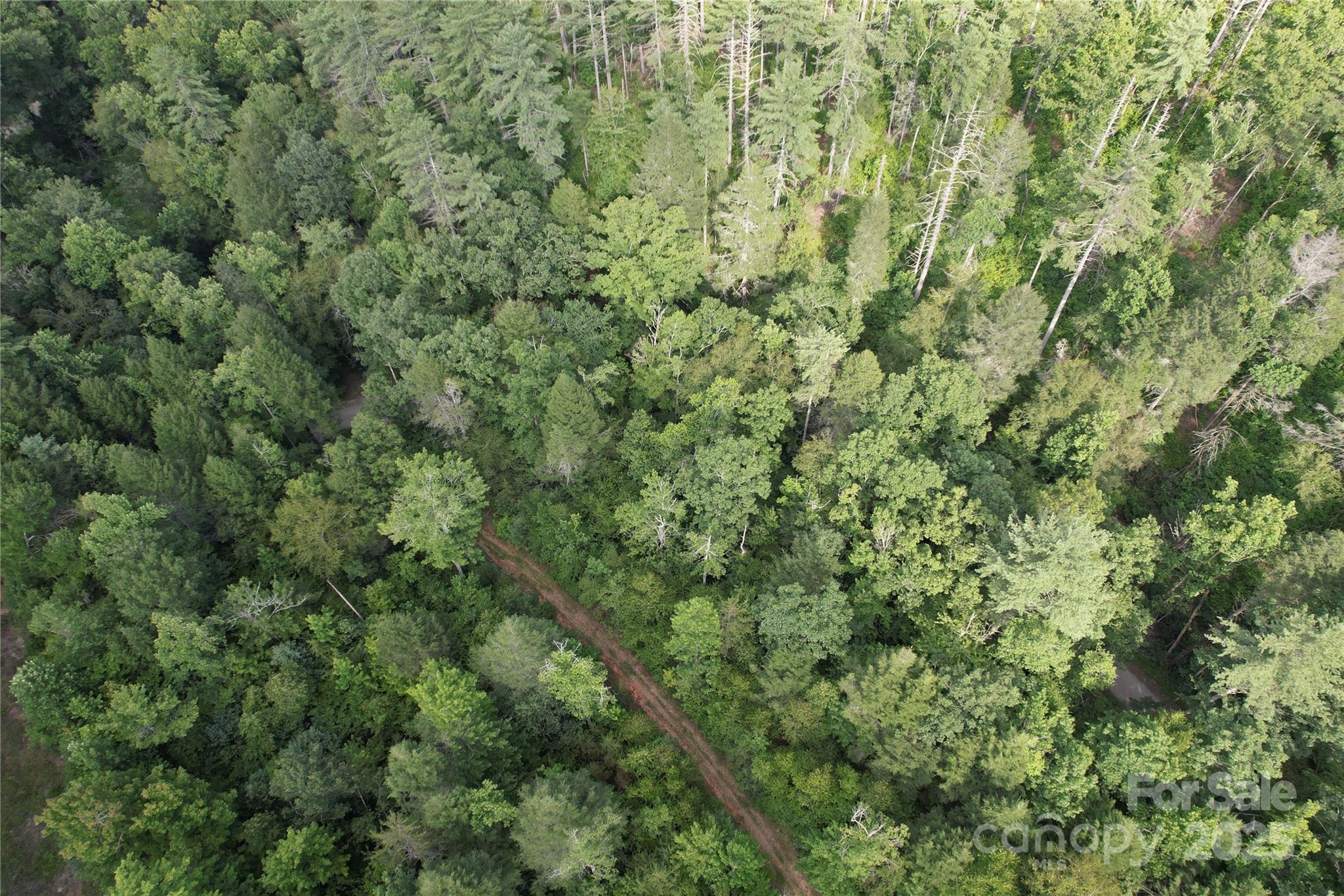 00 Rich Mountain Road Morganton NC 28655