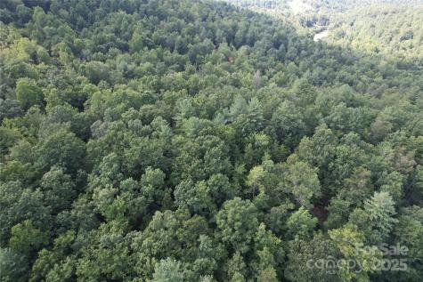 00 Rich Mountain Road Morganton NC 28655