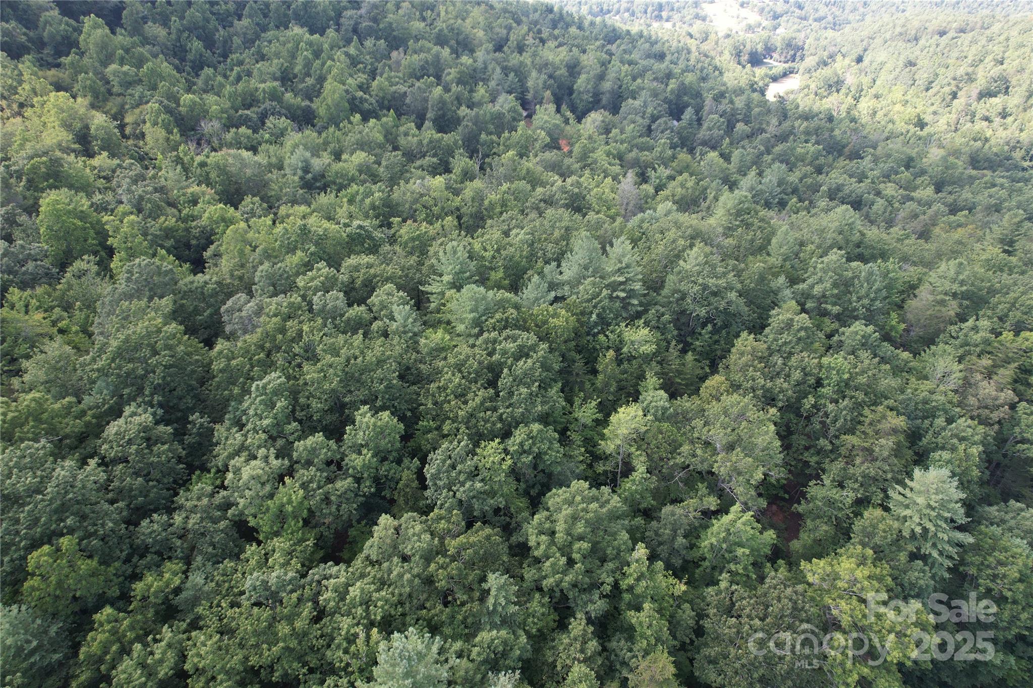 00 Rich Mountain Road Morganton NC 28655