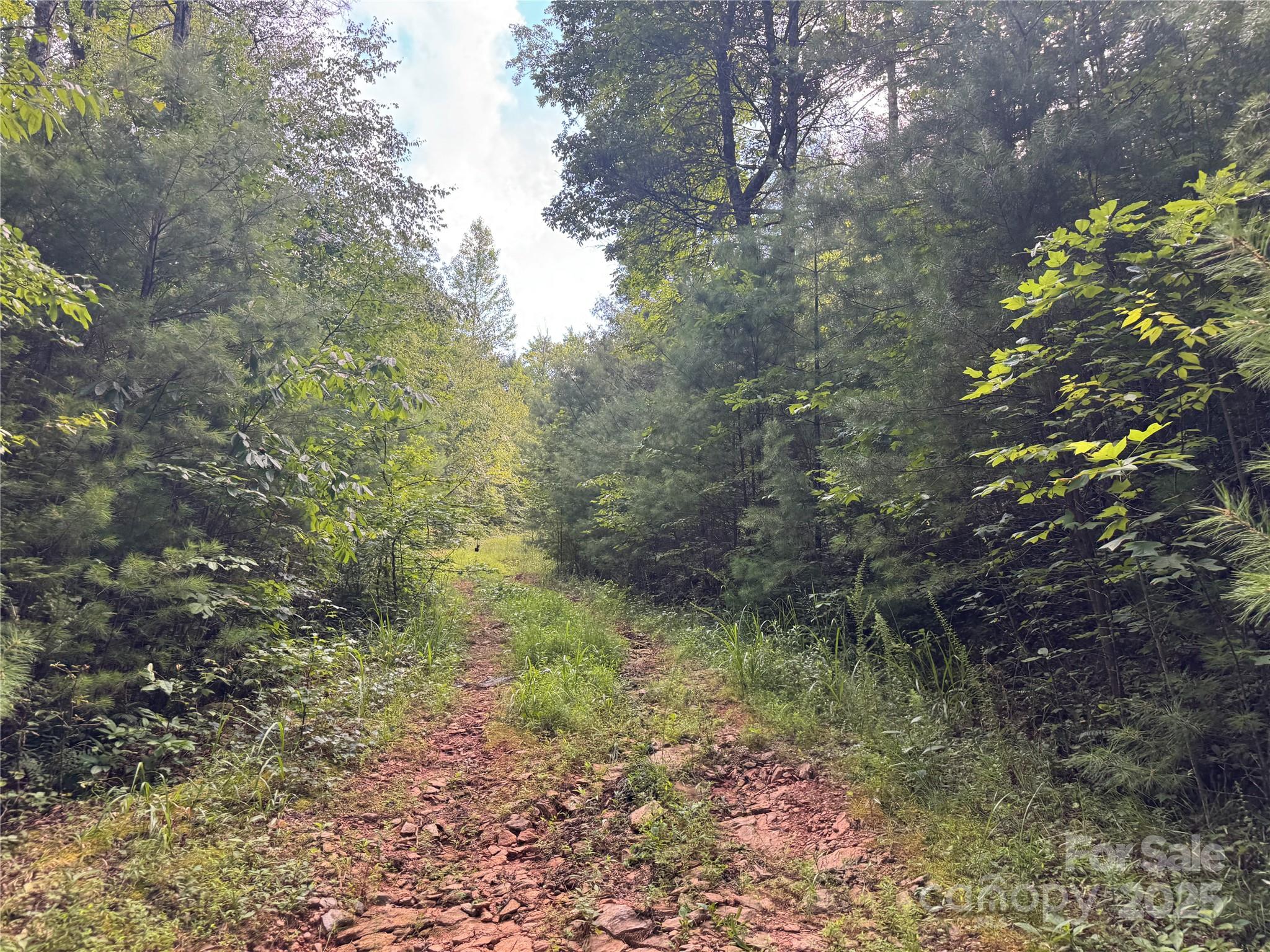 00 Rich Mountain Road Morganton NC 28655