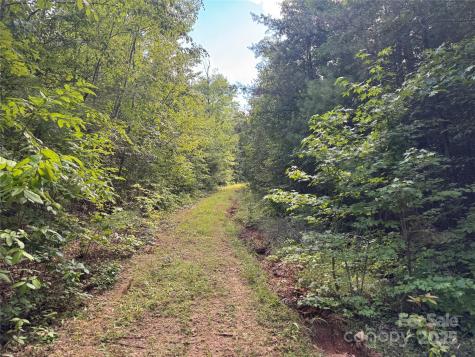 00 Rich Mountain Road Morganton NC 28655