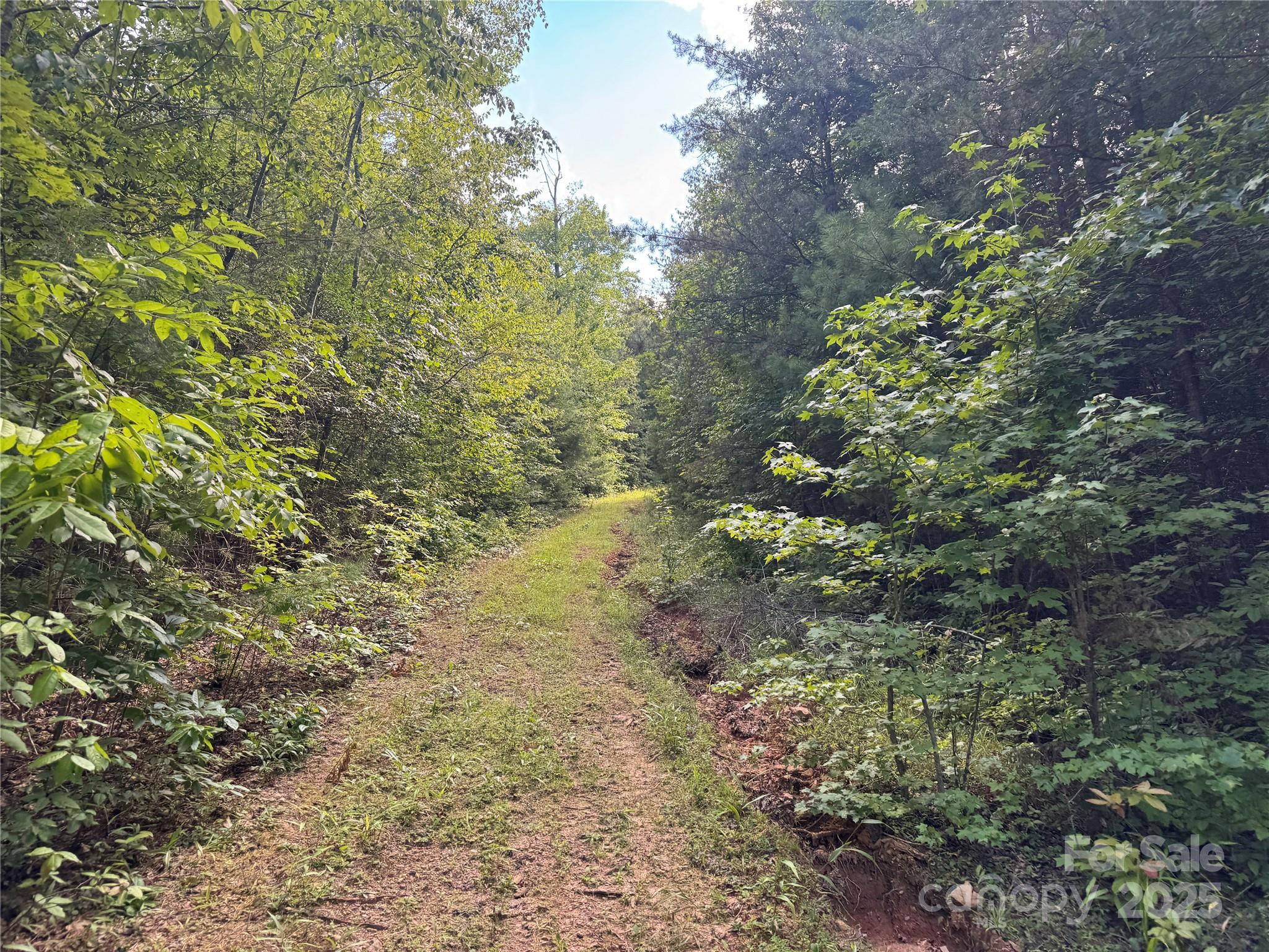 00 Rich Mountain Road Morganton NC 28655