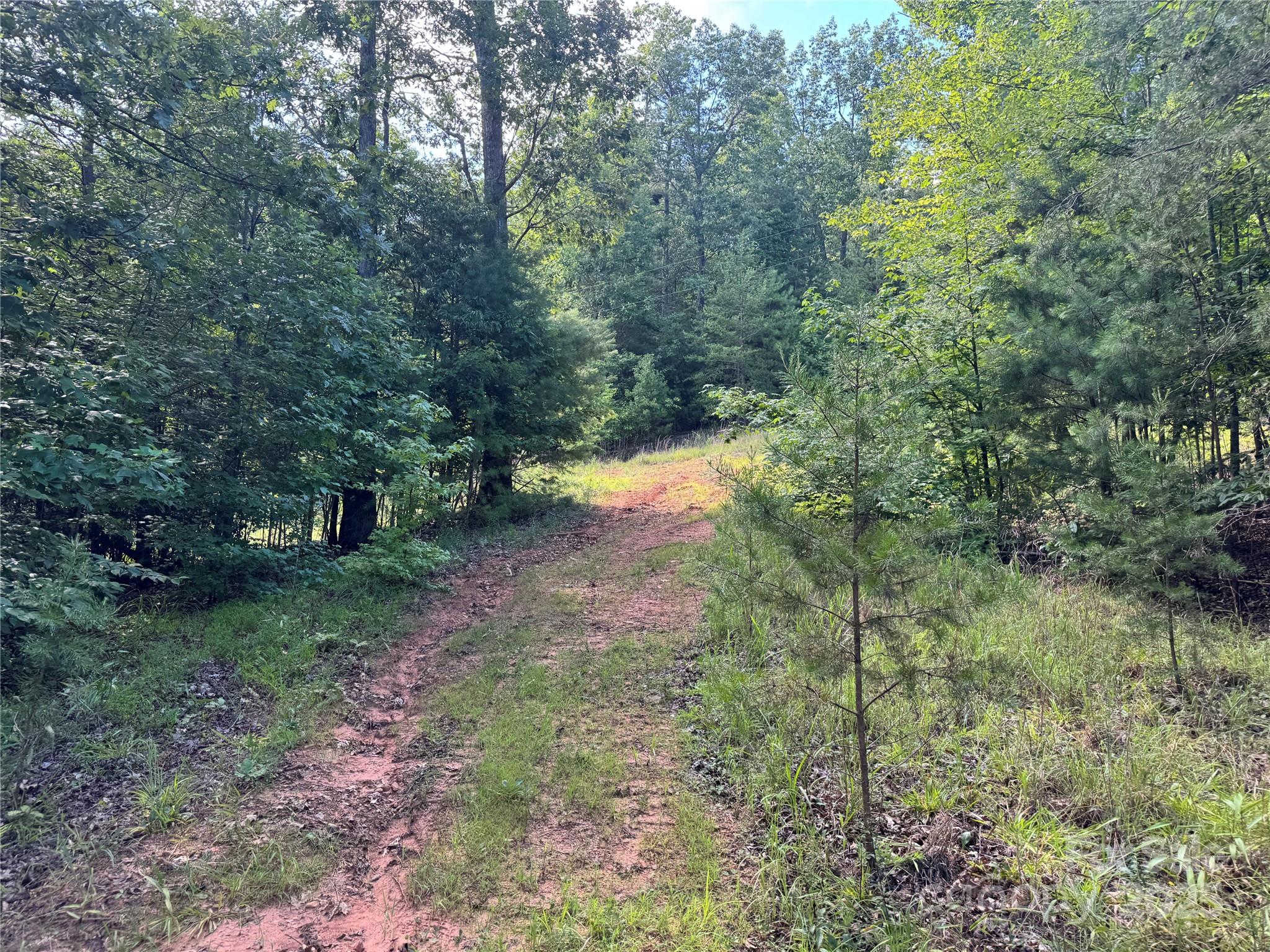 00 Rich Mountain Road Morganton NC 28655